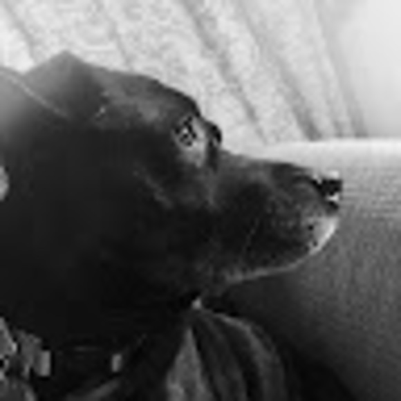 Meet your Posher, Stephanie - Picture 1 of 1